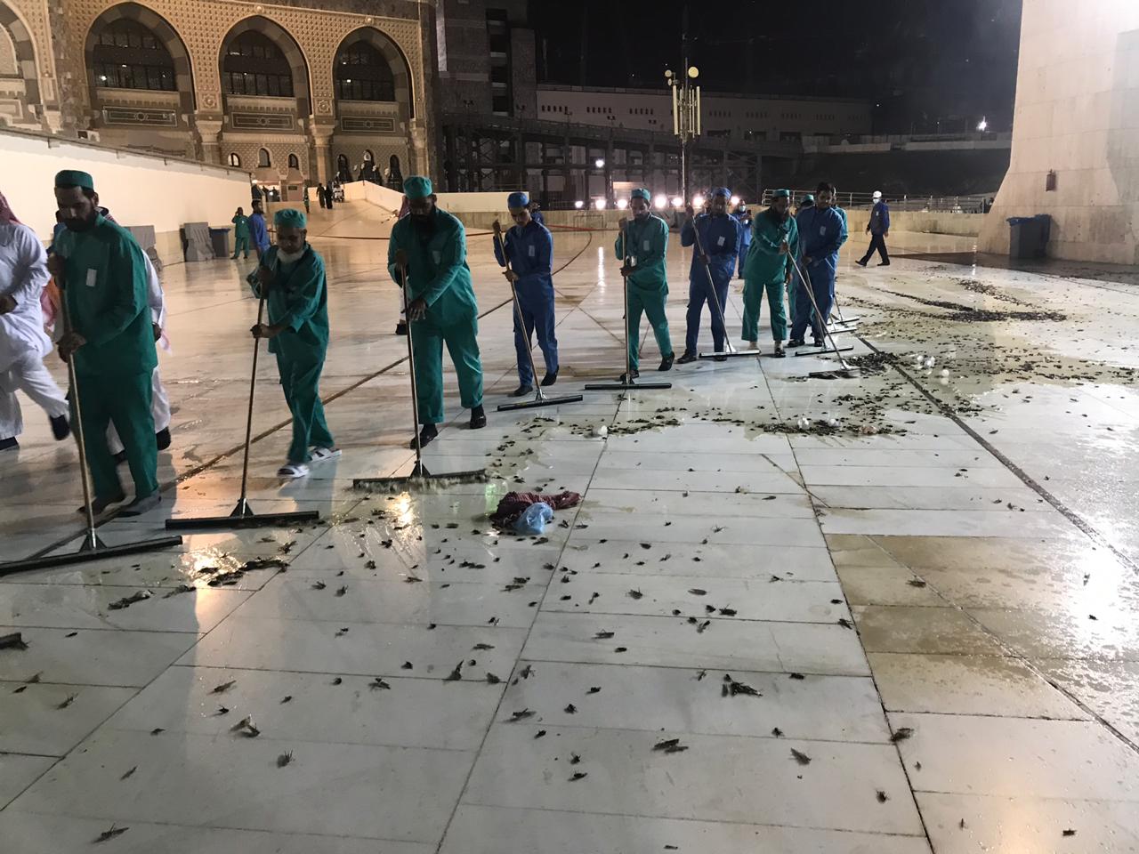 بالصور: الملايين من صراصير الليل تغزوا مكة والمدينة وتصل الحرم وتمنع إقامة الصلاة في الحرم لأول مرة بالتاريخ