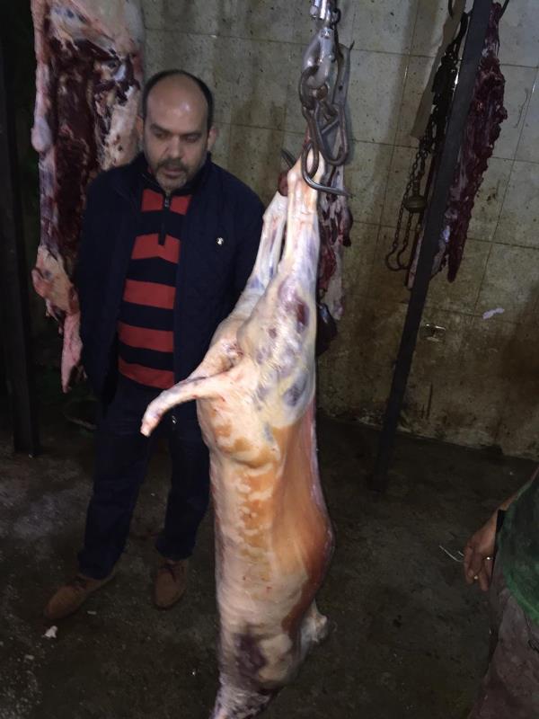 اغلاق مسلخ غير شرعي بالشمع الأحمر في أبي سمراء وتنظيم محضر ضبط بحق ملحمة في التبانة