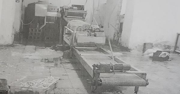 وضع مزري وسيّء جدا.. الصناعة تقفل مصنعاً للبطاطا الجاهزة!