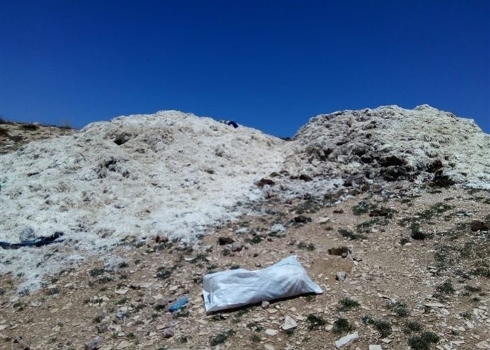 مجزرة بيئية يكشف عنها النائب حبشي