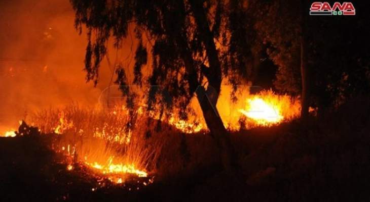 سانا: مقتل شخص وإصابة إثنين آخرين جراء حريق كبير بأراض زراعية غرب دمشق