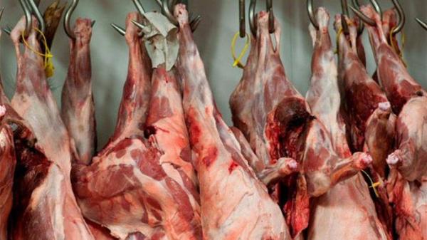 ثلاثة مسالخ من أصل 160 تلتزم بالشروط البيئية!