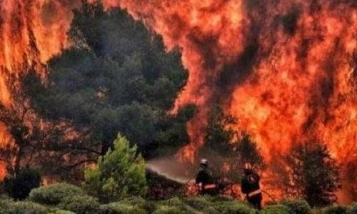 إجلاء 5 آلاف شخص من جزيرة كناريا الكبرى بسبب حريق