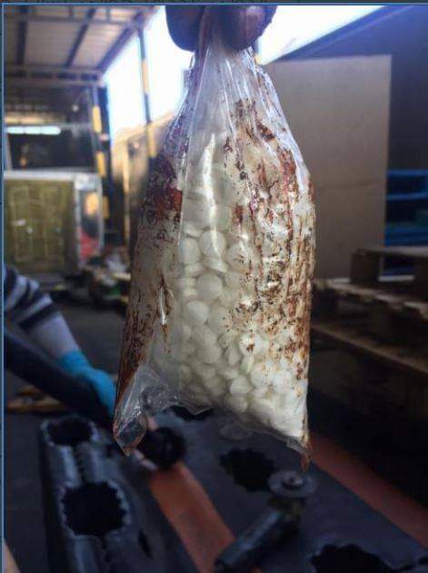 المتورط الأساسي في عملية تهريب كمية من حبوب الكبتاغون إلى المملكة العربية السعودية في قبضة قوى الامن