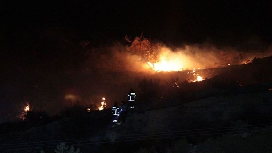 العدو ينشر صوراً لشهيدي حزب الله اللذين سقطا جراء الغارة الأخيرة قرب دمشق