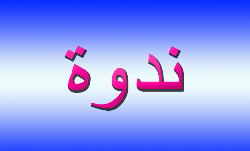 ندوة سياسية في صور عن المقاومة والتحديات الراهنة