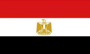 "الطيران المدني" المصرية: شهادة الـpcr للأجانب فقط.. وتطبق من 15 اب