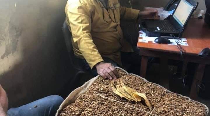 الريجي واصلت تسلم محصول التبغ من المزارعين في صور وبنت جبيل