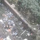 جثة هامدة و مكبلة اليدين في منطقة ابي_سمراء