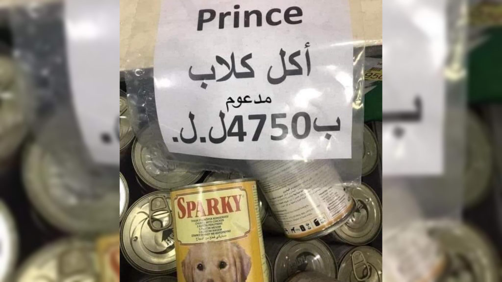 صورة مُستفزة من إحدى السوبرماركت.. طعام للكلاب “مدعوم”؟