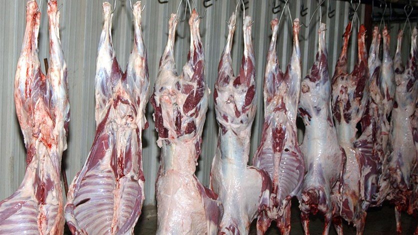 نقابة اتحاد القصابين: لتسمية الأمور باسمائها بعد دراسة ملفات المستوردين كي نعلم من أخذ حقوقه من الدعم ومن لم يأخذ