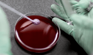 قريبا... تصنيع "سبوتنيك" في لبنان