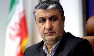 رئيس منظمة الطاقة الذرية: طلب "الوكالة" دخول كرج يتجاوز الضمانات