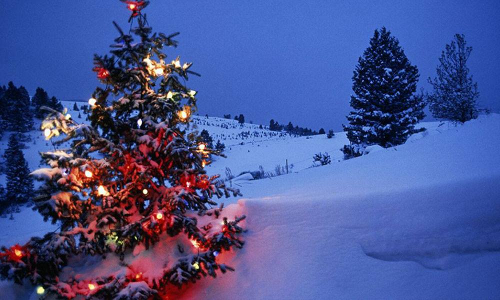 ليلة عيد الميلاد.. كيف سيكون الطقس؟