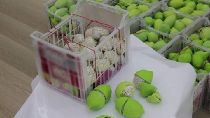 شرطة دبي: توقيف 4 أشخاص حاولوا تهريب أكثر من مليون قرص من مخدر الكبتاغون أخفوها في شحنة ليمون قادمة من دولة عربية