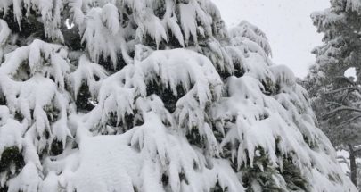 خنيصر يكشف: 70 بالمئة من مساحة لبنان ستتغطى بالثلوج فجر الخميس