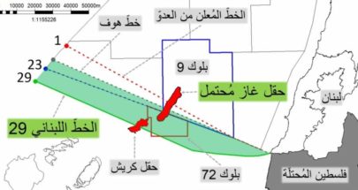 ازالة رسالة لبنان عن الخط 29 عن الموقع الاممي... بو حبيب يوضح
