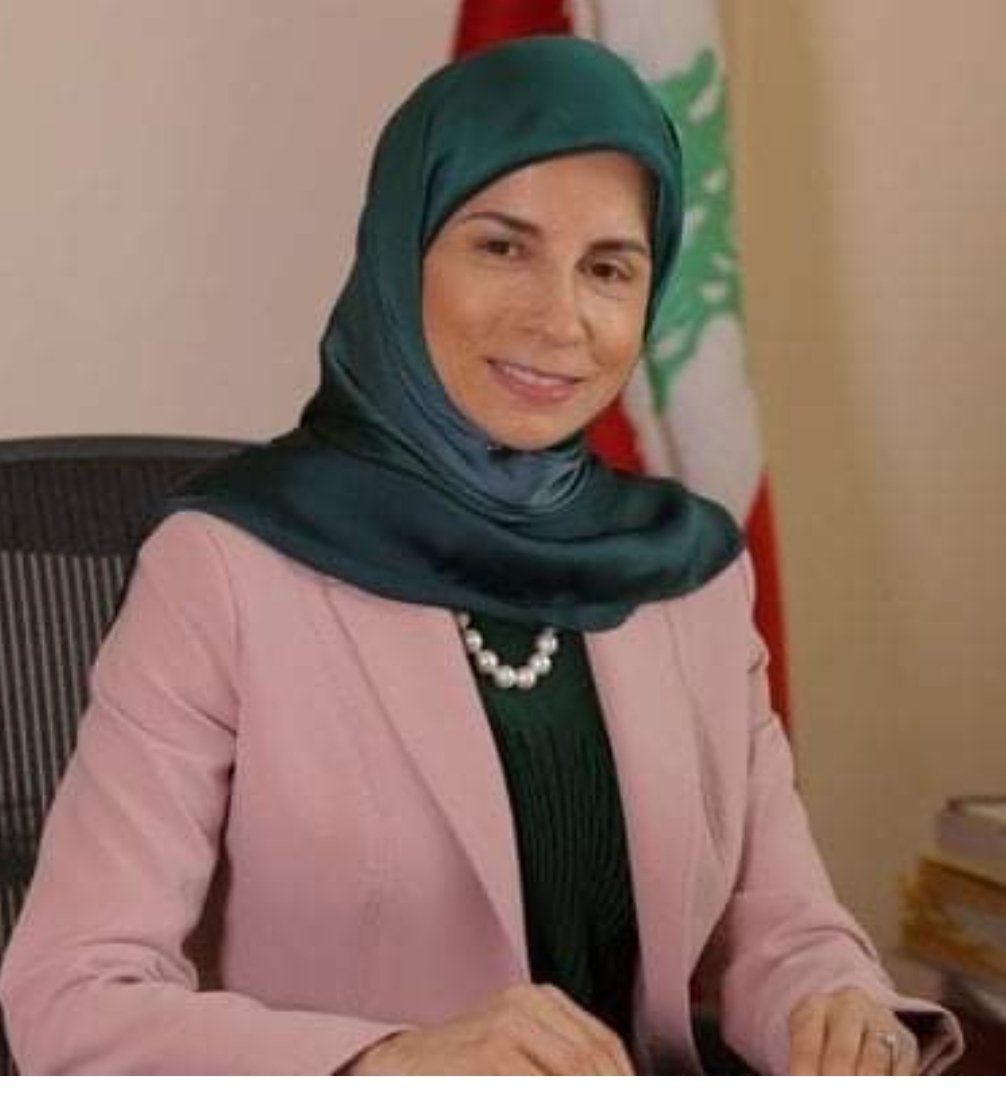 عز الدين: لبنان متمسك بعناصر قوته