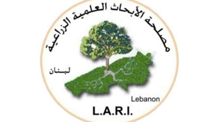 LARI: نحن غير معنيين أو مسؤولين عن أخذ عينات القمح وبدءً من 1/6/2022 لن تصبح مستودعاتنا بتصرف أحد