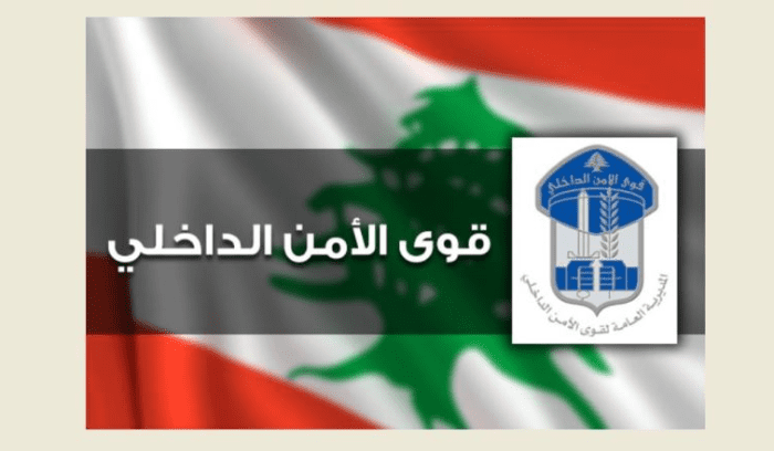 قوى الامن: توقيف سارق فيلا في مجدليون