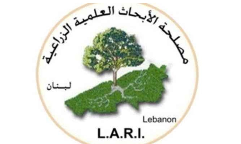 لن تصل عاصفة رملية الى لبنان