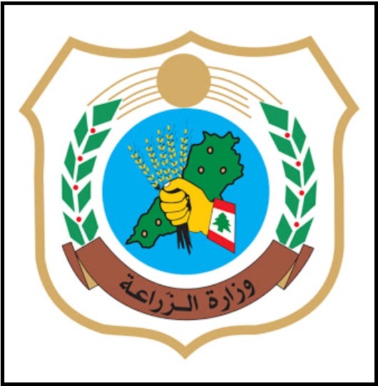 لا صحة للاخبار المتداولة عن بيع دجاج نافق في الاسواق