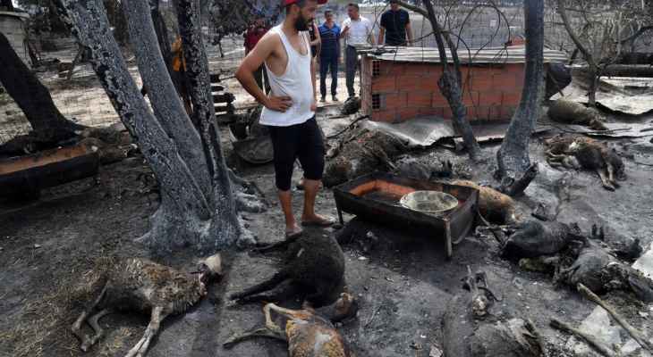 فرق الإطفاء الجزائرية تسيطر على غالبية الحرائق والحصيلة 38 قتيلاً على الأقل