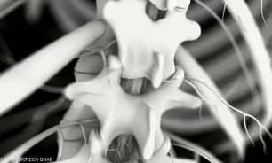 الأمن الصحّي في خطر ونقابة الصيادلة تتحرّك ضدّ تهريب الدواء