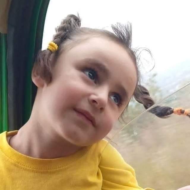 تطوّر مهمّ في قضيّة لين طالب... ما علاقة الخال