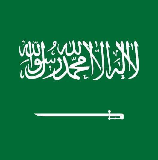 المملكة السعودية توقع اتفاقيات للطاقة النظيفة مع دول إفريقية