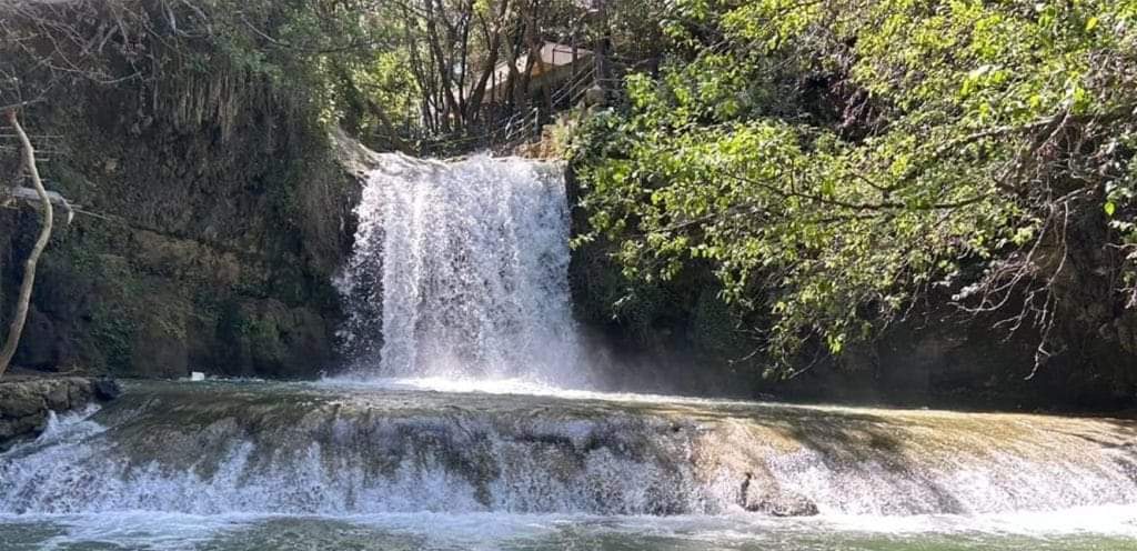 تلوث كبير في نهر الجاهلية.. ما سببه؟