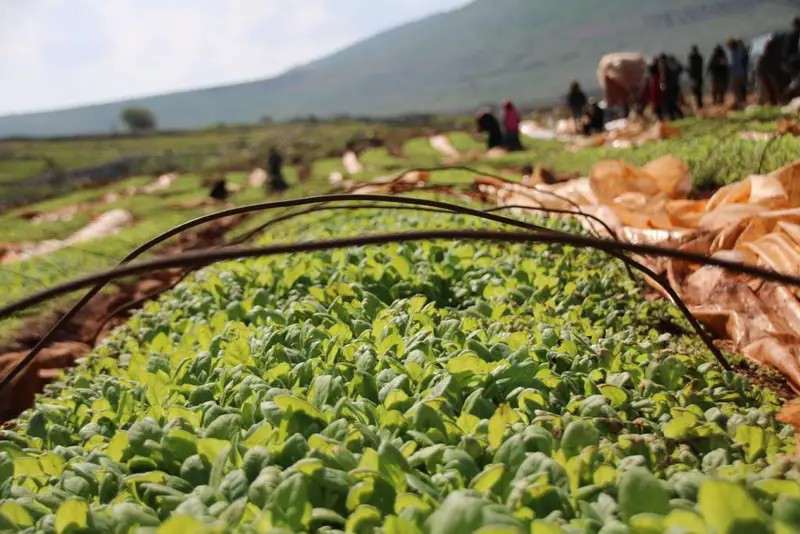 مبادرة "إنقاذية" من "الريجي" دعماً للجنوبيين..