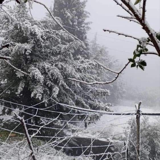 الثلوج تُلامس الـ800 متر