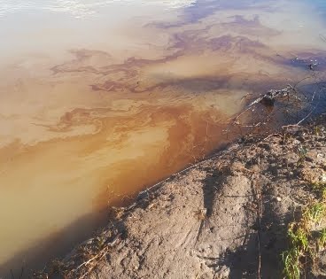 وزارة البيئة تتحقق من وجود مواد نفطية في النهر الكبير وتنسّق مع وزارة الطاقة لتحديد مصادر التسرب