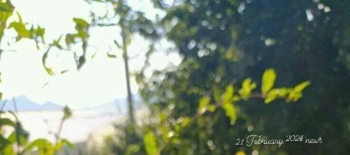 طقس مستقر ودافئ نسبيا يسيطر على لبنان