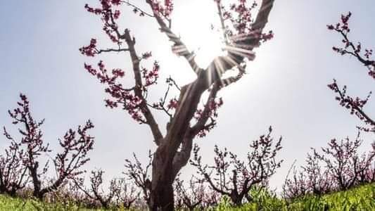 كتل هوائيّة حارّة.. والحرارة ستُلامس الـ30!