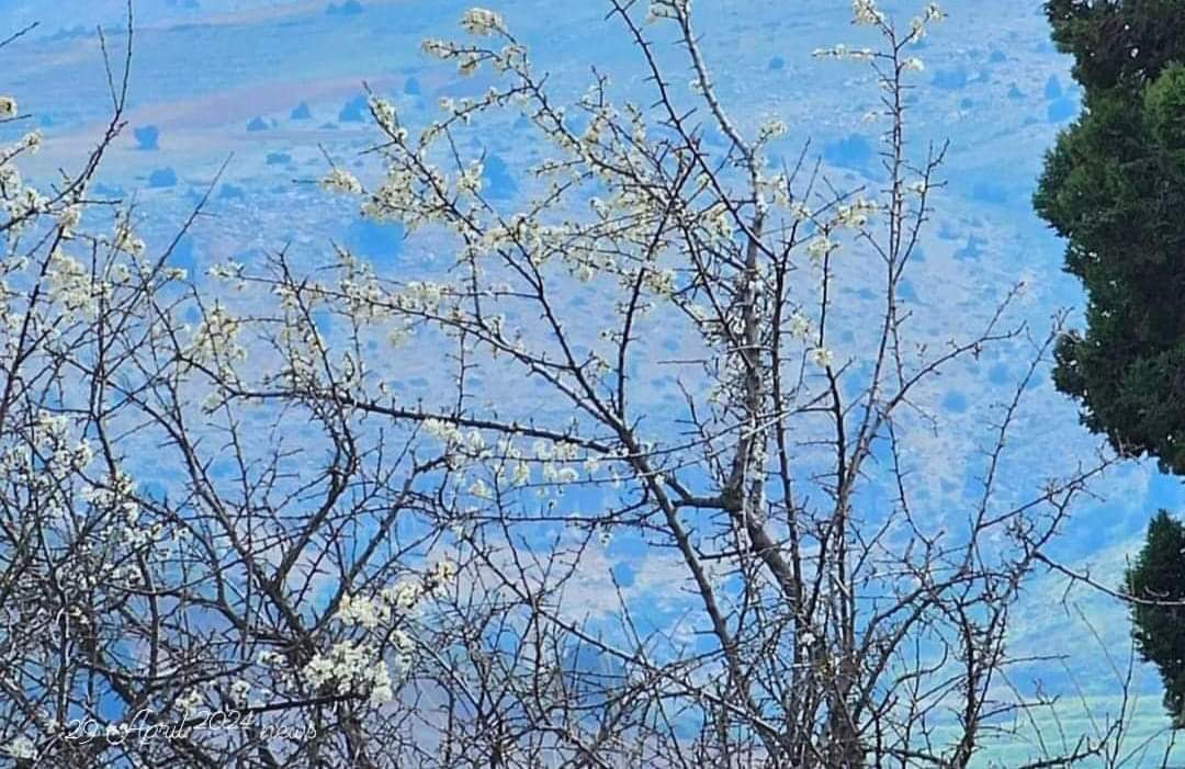 الطقس منخفض جوي متوسط الفاعلية يسيطر على لبنان