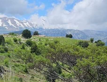 الطقس كتل هوائية حارة ورياح ناشطة محملة بالغبار