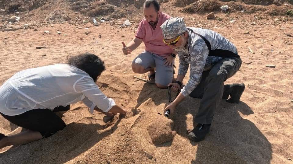 بيان صادر عن لجنة محمية جزر النخل الطبيعية