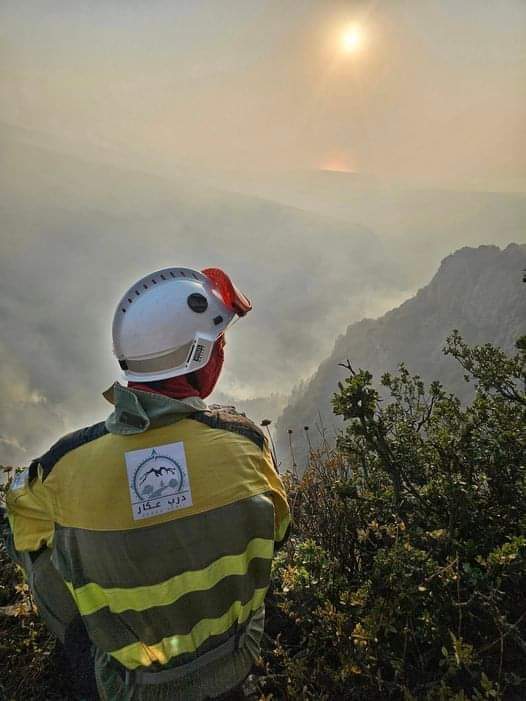 غيوم وضباب على المرتفعات... إليكم تفاصيل طقس الأيام المقبل