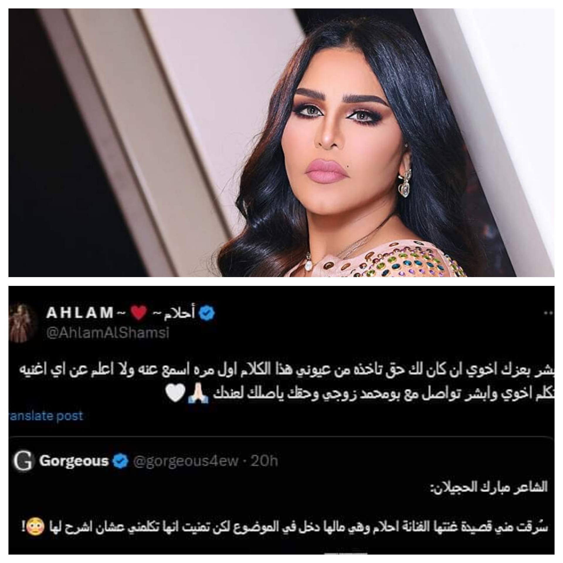 شاعر يكشف عن سرقة قصيدته وتقديمها في أغنية بصوت أحلام
