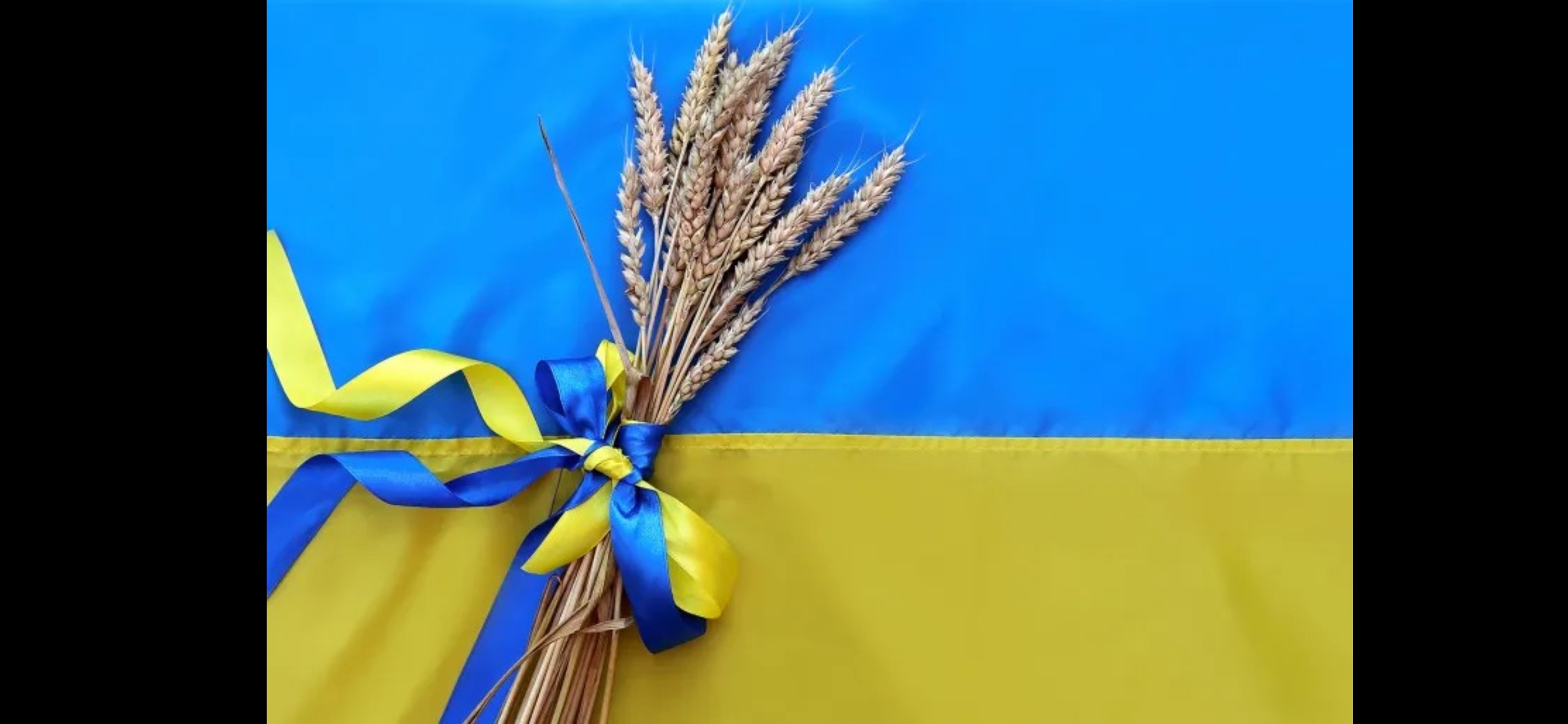 أوكرانيا تعتزم دعم سوريا بشحنات حبوب ومنتجات زراعية أخرى