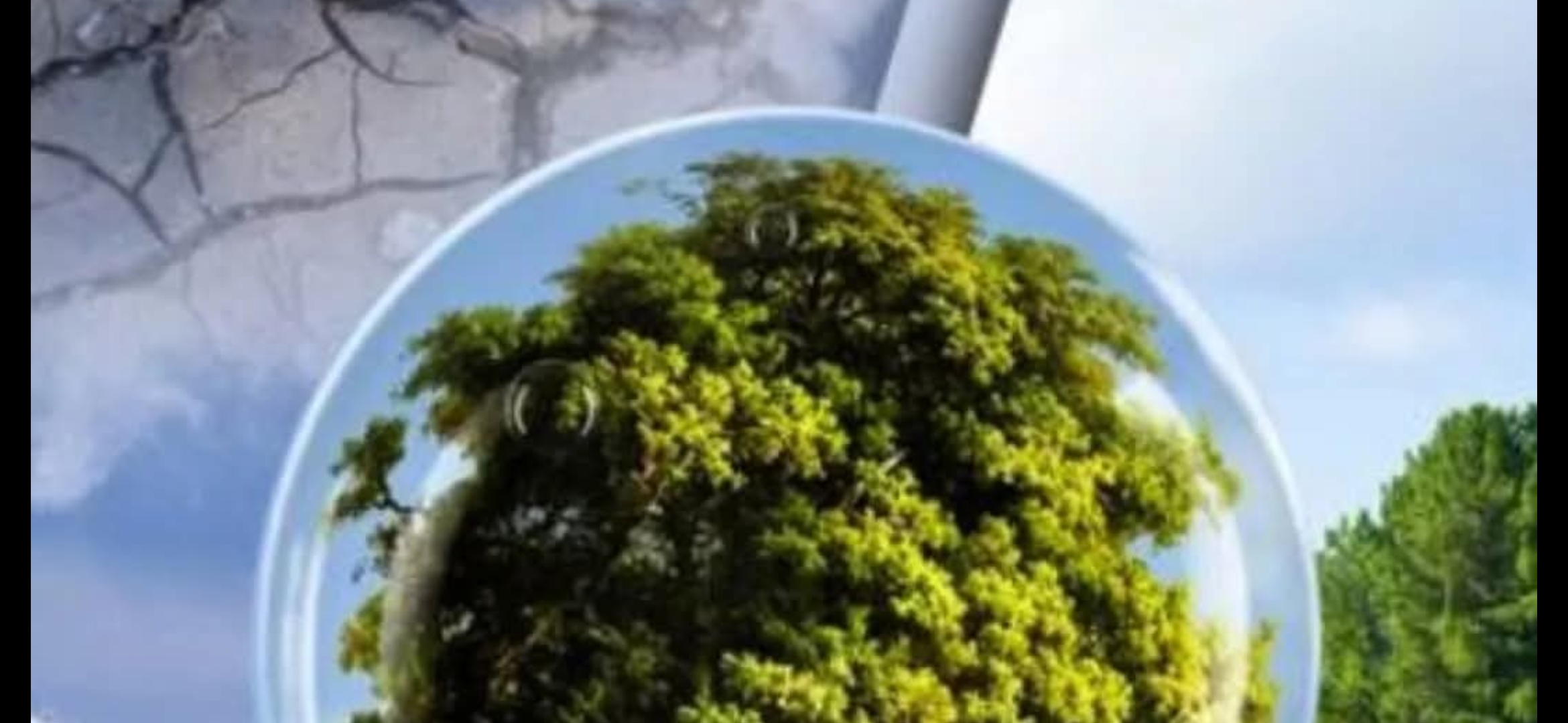 يشهد لبنان في الآونة الأخيرة تحولًا ملحوظًا في المناخ