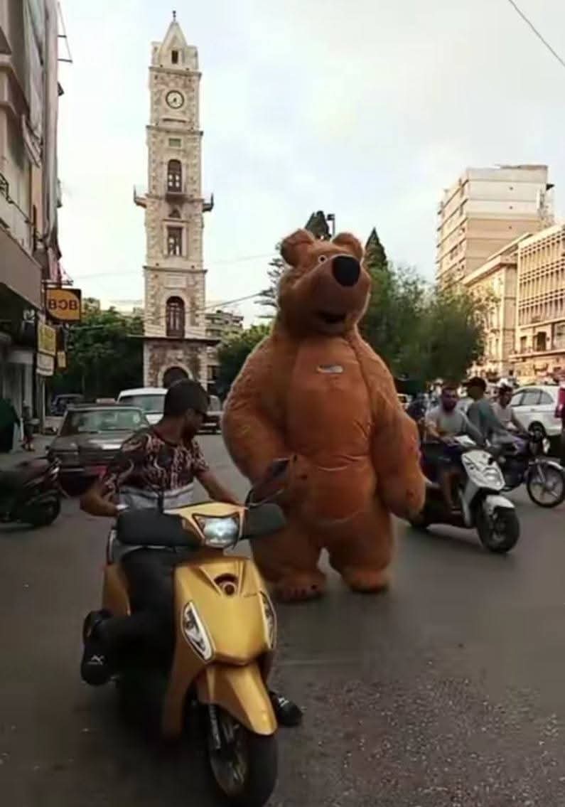 دب يسرق الأضواء في منطقة التل 