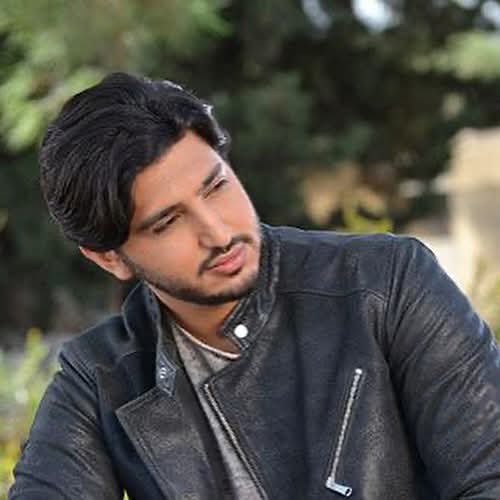 النصب على محمد فضل شاكر و سعد رمضان
