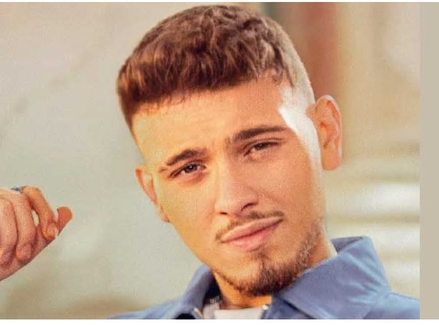 الشامي منزعج من جواز سفره السوري.. ولكن "سوريتي هويتي"