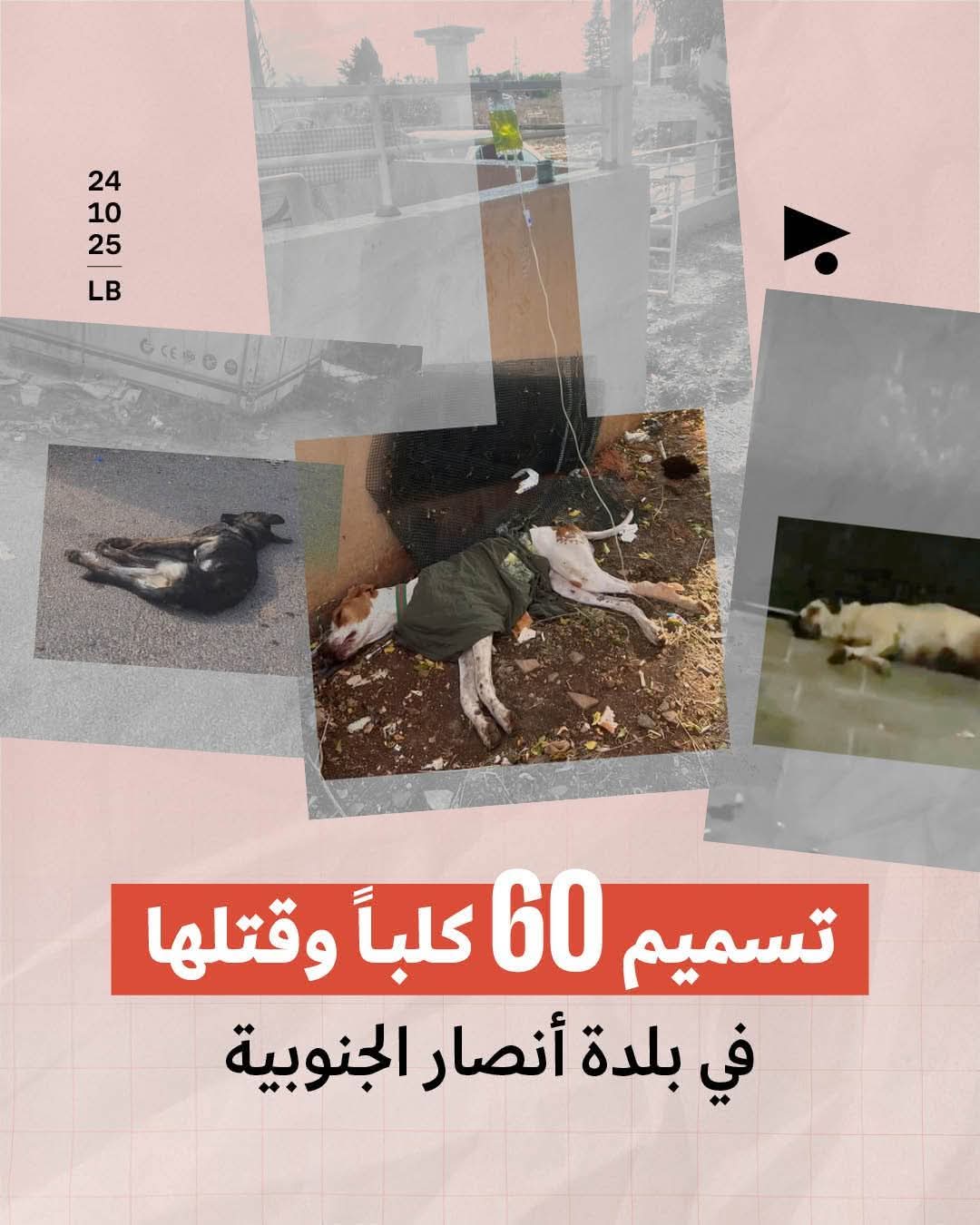 في جريمةٍ جديدة بحقّ البيئة