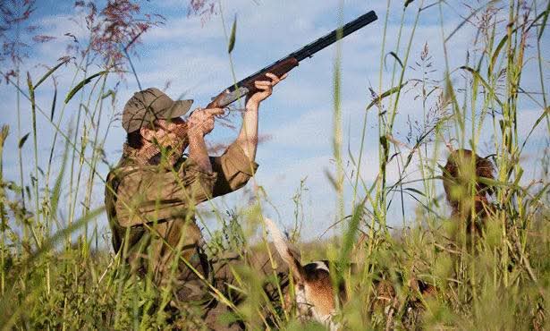 توقيف خمسة أشخاص وضبط ثلاث آليات لمخالفتهم قرار منع الصيد البري في الضنية