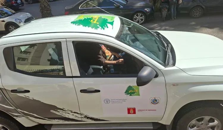 ثماني سيارات للمشروع الأخضر