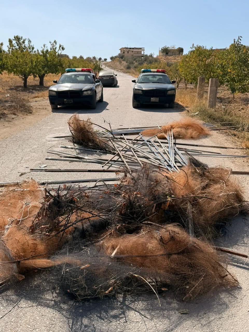 مفرزة استقصاء البقاع تُنقذ آلاف الطيور من شباك الصيد الجائر